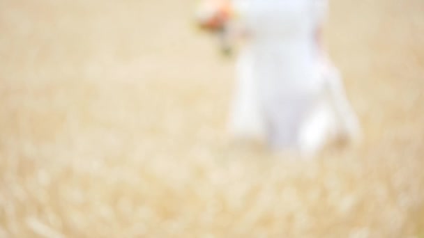Flicka i vit klänning i vinden, promenader genom ett fält med vete. . ultrarapid. — Stockvideo
