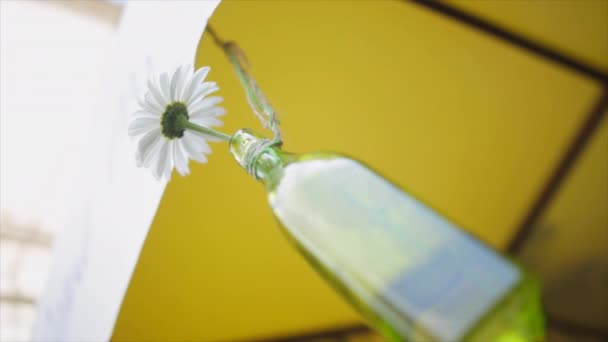 Bir iş parçacığı üzerinde asılı papatya ile cam şişe. — Stok video
