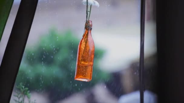 Bouteille marron avec camomille à l'intérieur. Bouteille suspendue à un fil. La pluie devant la fenêtre . — Video
