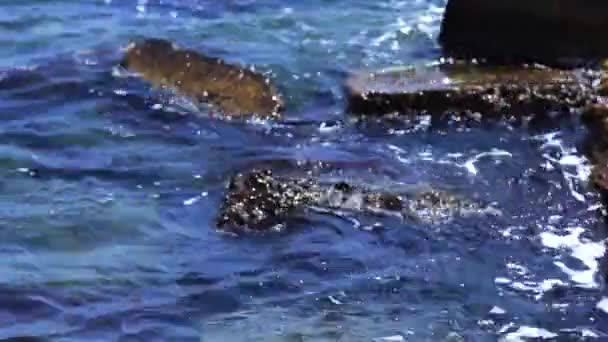 Le onde del mare colpiscono le rocce — Video Stock