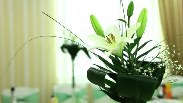 Lily v skleněná váza. — Stock video