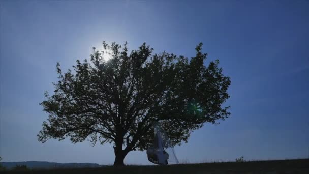 Columpio en un árbol con gasa blanca — Vídeos de Stock