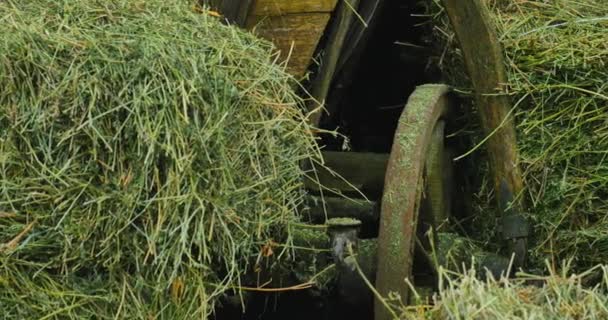 Chariot en bois avec foin. chariots en bois avec herbe sèche. balles de foin. roue en bois. antiquité . — Video