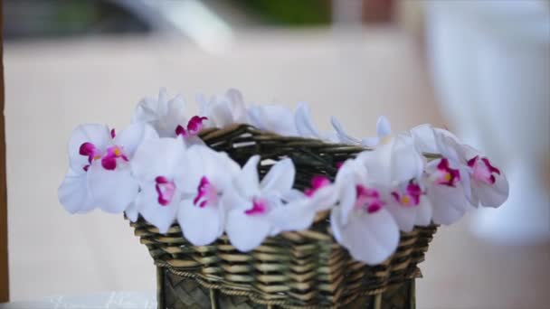 Bouquet de gouttes de neige dans un panier en osier — Video