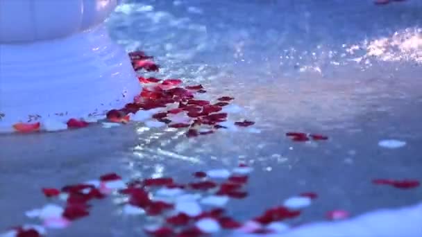 Fiori di seppia bianchi e rossi in ciotola d'acqua per la cerimonia nuziale — Video Stock