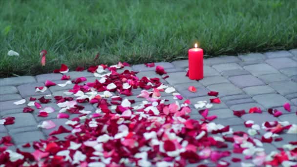 Rosenblätter auf dem Bürgersteig — Stockvideo