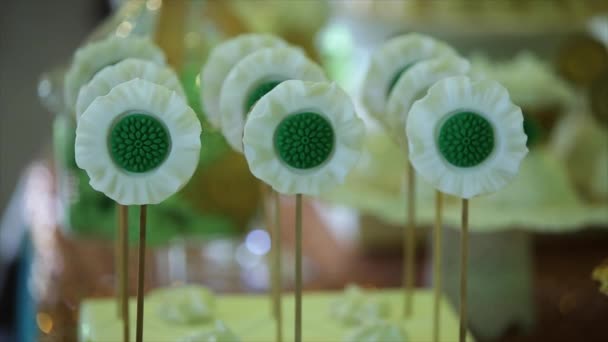 Dulces de chocolate caseros en un palo — Vídeos de Stock