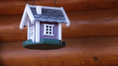 grunge arka plan üzerinde renkli kuş evi