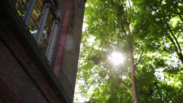 높은 너도밤나무들이 빽빽 이 피어 있는 숲 속으로 비치는 따뜻 한 봄 햇살 — 비디오