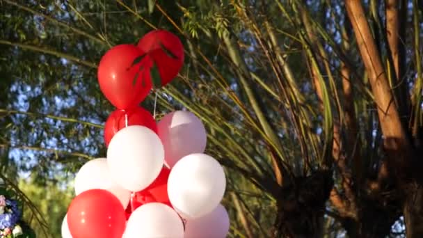 Weiße und rote Luftballons grün auf Hintergrund — Stockvideo