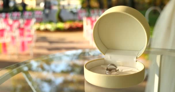 Bílé zlato, snubní prsteny, snubní prsteny z bílého zlata v "blue box", svatební šperky, svatební přípravy — Stock video