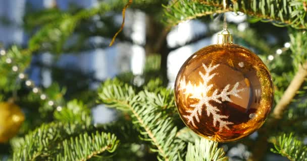 Boule de Noël brillante sur branche de sapin 