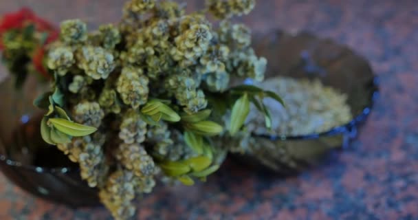 Periwinkle e folhas no fundo de madeira escuro vintage — Vídeo de Stock