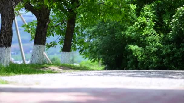 Dirt road in green meadow and trees on sky background — Stock Video