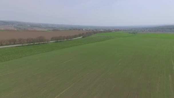 Grönt fält med road. Drone video. — Stockvideo