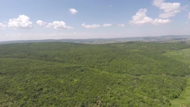 Luftaufnahme der mit Nadelwäldern bedeckten Berge — Stockvideo