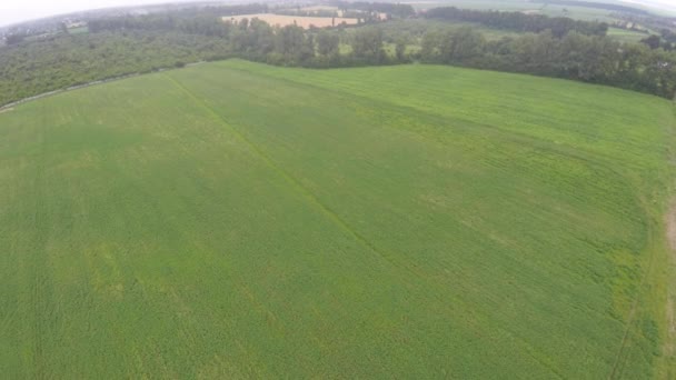 Landbouwgrond above - luchtfoto afbeelding van een weelderig groen geplaatst — Stockvideo