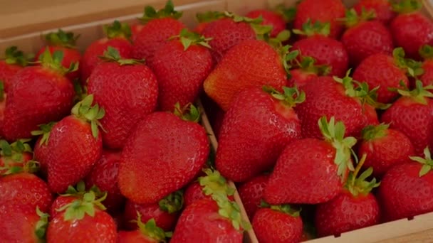Φρέσκα φόντο φράουλα. Ώριμα φράουλα σε γκρο πλαν. — Αρχείο Βίντεο