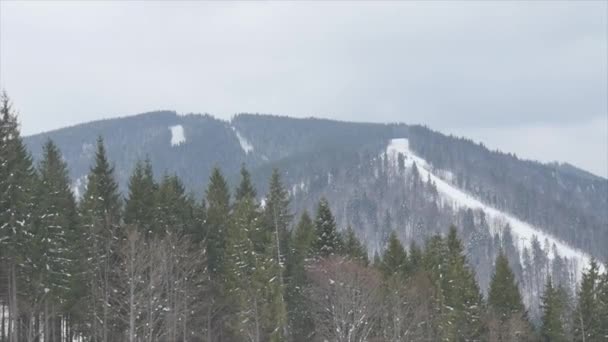 Uitzicht vanaf de top van de berg in Boekovel - ski-oord in Oekraïne. In de omgeving van Ivano-Frankivsk. — Stockvideo