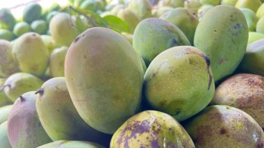 Piyasada taze erikler