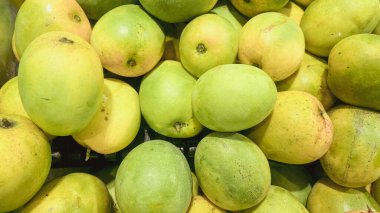Canlı Mango Yığını Market Gösterimi. Taze ve mevsimsel hasadı ön plana çıkaran, cazip bir piyasa gösterisinde sergilenen olgun sarı meyvelerle karıştırılmış yemyeşil mangoların yakın çekimi. Beslenme ve tarım için harika.,