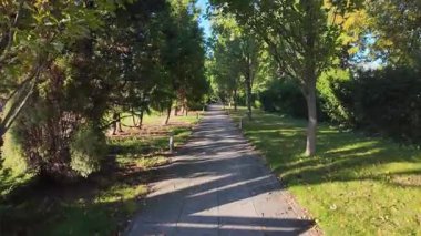 Canlı yeşil bir park boyunca kıvrılan, güneşli yeşillikler ve uzun gölgeler sergilenen, barışçıl yürüyüşler ve açık hava rahatlığı için ideal bir asfalt yol.