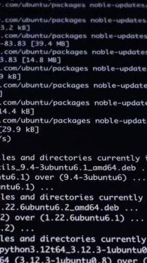 Ubuntu sistem süreçlerini ve Python paketlerini karanlık dijital ekranda gösteren dinamik beyaz metnin yakın görüntüsü, yazılım geliştirme kavramları veya bilişim güvenliği için mükemmel. Yakınlaştır. Dikey