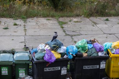 Poznan, Polonya - 1 Ekim 2025: Renkli plastik poşetlerle dolu taşmış belediye çöplerinin ayrıntılı bir görünümü ve reddetme, kentsel kirlilik ve atık sorunlarını gösteriyor