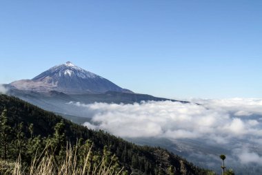 Önünde beyaz bulutlar olan açık bir günde volkan zirvesi karla kaplı.