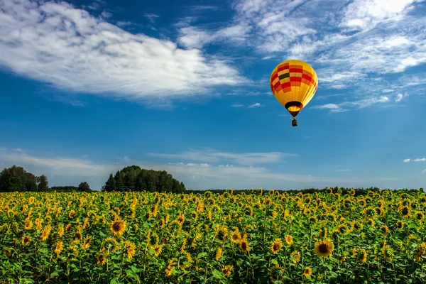 Ayçiçeği tarlalara balon.