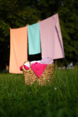 Parlak pamuklu waffle havluları sıcak güneş ışığında yeşil çimlerin üzerinde örülmüş bir sepetin içinde. Taze açık hava yaz ortamı, doğal dokular, rahat ve temiz ev hayatı estetiği..