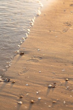 Yumuşak altın güneş ışığı yumuşak deniz dalgalarını aydınlatıyor kumlu kıyılarda süzülüyor, huzurlu sahil dokularını ve küçük deniz kabuklarını yakalıyor sakin bir sahile..