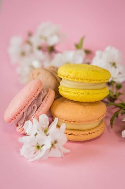 Pembe arka planda sarı ve pembe badem kurabiyeleri ve kar beyazı elma çiçekleri dalları.