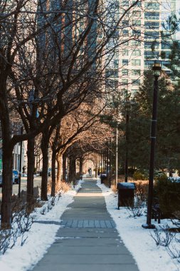 Çıplak ağaçlarla dolu bir yürüyüş yolu kışın bir şehir caddesinde uzanır. Kar zemini kaplıyor ve ağaçların arasından güneş ışığı parlıyor. Sıcak bir ışık yaratıyor. Uzaklarda yürüyen biri..