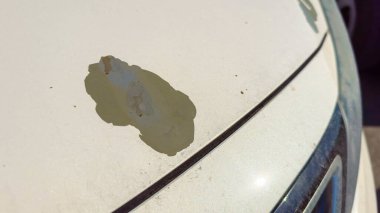 Arabanın kaputu boyanın koptuğu yeri gösteriyor, çıplak malzemeyi ortaya çıkarıyor. Güneş ışığının altında bir otoparkta yer almaktadır..