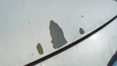 Yağmur sonrası su damlaları arabanın kaputunda kalır. Noktalar, suyun toplandığı ve kuruduğu yeri gösteren şekil ve boyut olarak değişir. Sahne, son havanın sonuçlarını yakalıyor..