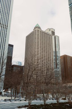 Bulutlu bir günde, insanlar bölgede yürürken çıplak ağaçlarla çevrili bir parkın etrafındaki birkaç yüksek bina.