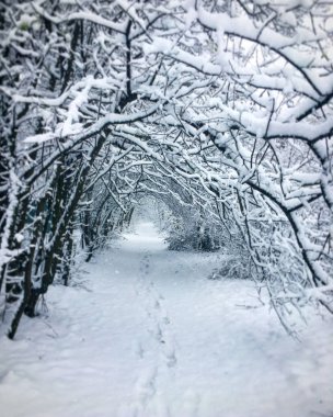 Karla kaplı bir patika, ağaçların dallarının üzerinde bir kemer oluşturduğu bir ormana çıkar. Kar yavaşça düşer ve yerde beyaz ve yumuşak ayak izleri oluşur.