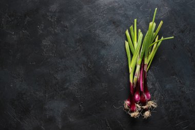 Masanın arka planında mor bahar soğanları