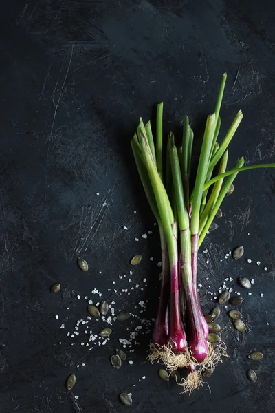 Purple spring onions on dark table background — Stock Photo, Image