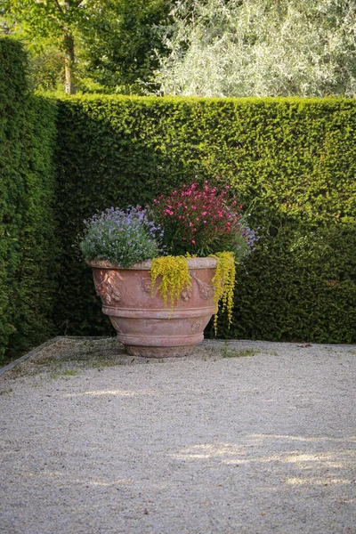 Beautiful flowerpot in the park at the end of a path in summer — Stock Photo, Image