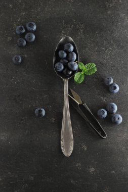 Esmer arka planda mistik açık yaban mersini