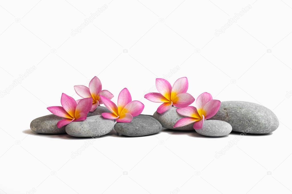 zen stones and three frangipani isolated on a white background