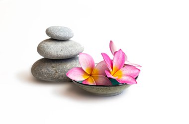 Çakıl taşları ve frangipani çiçekleri beyaza izole edilmiş.