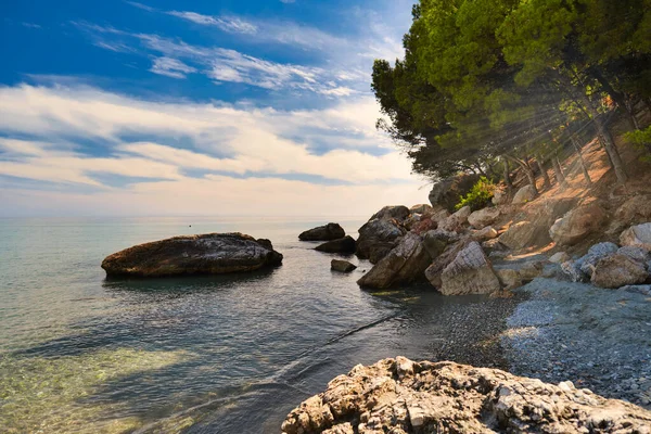 Nice views of the coast, rocks and pine trees. — Stock Photo, Image