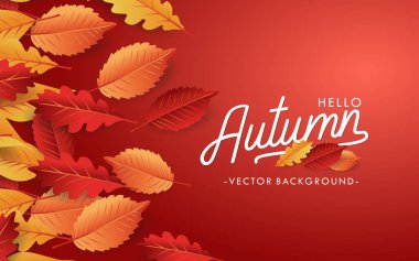 Sonbahar arkaplan düzeni alışveriş için yapraklarla dekore edilir. Vektör resimleme şablonu.