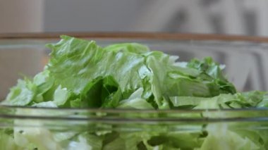 Zeytinyağı bir remake ile sağlıklı sebze salatası. Dökme zeytinyağı. Marul, domates, salatalık. Organik biyo gıda. Diyet, diyet kavramı. Vejetaryen yiyecekler. Vejetaryen. Ağır çekim video görüntüleri 1080 hd tam