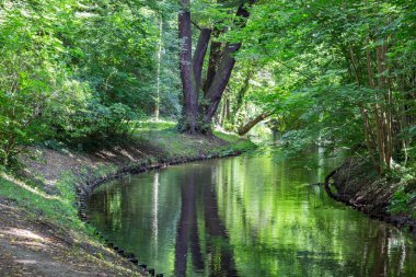 Günbatımı güzel ormanın içinde. Ağaçlar, su ve taş. Dağ nehir. Yaz manzara Kırım '