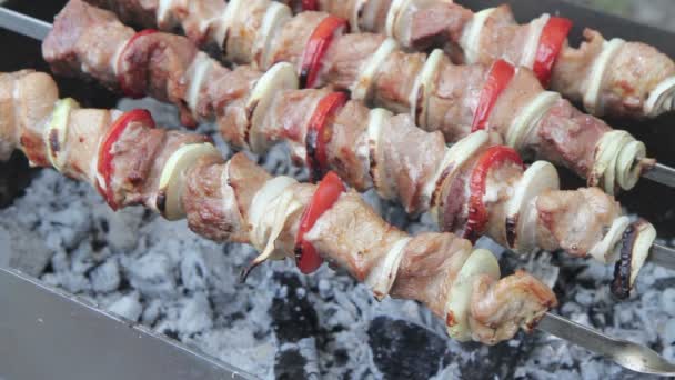 Shish Kebab brochettes — Stockvideo