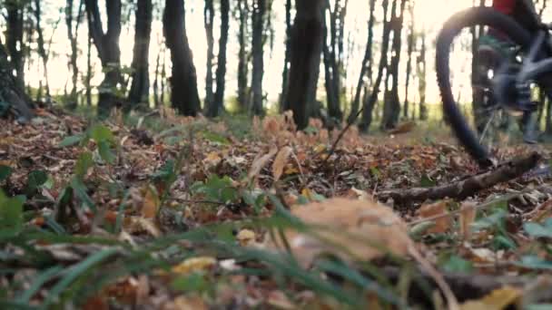 The young man riding a bike — Stock Video